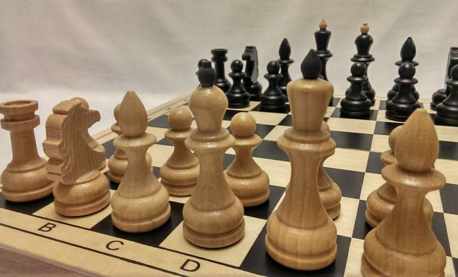 В Елецком районе прошел муниципальный этап областного Фестиваля «Юный шахматист»