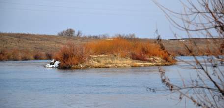 В Липецкой области прогнозируют незначительный весенний паводок