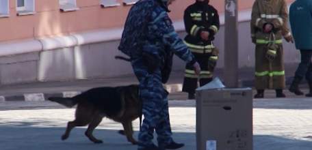 Ельчане проявили бдительность: опасность обнаруженной коробки на площади Ленина не подтвердилась