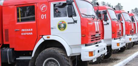 В лесах Липецкой области объявлен пожароопасный сезон