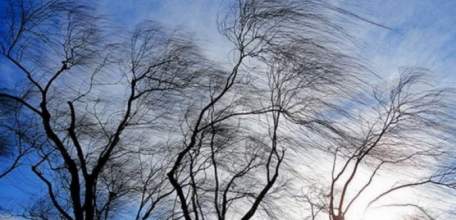 3 апреля на территории Липецкой области ожидается усиление северо-восточного ветра с порывами до 15-17 м/с