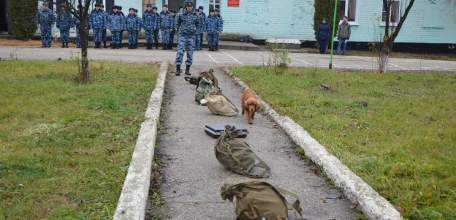 В исправительной колонии №4 прошли учебно-методические сборы специалистов-кинологов УИС Липецкой области