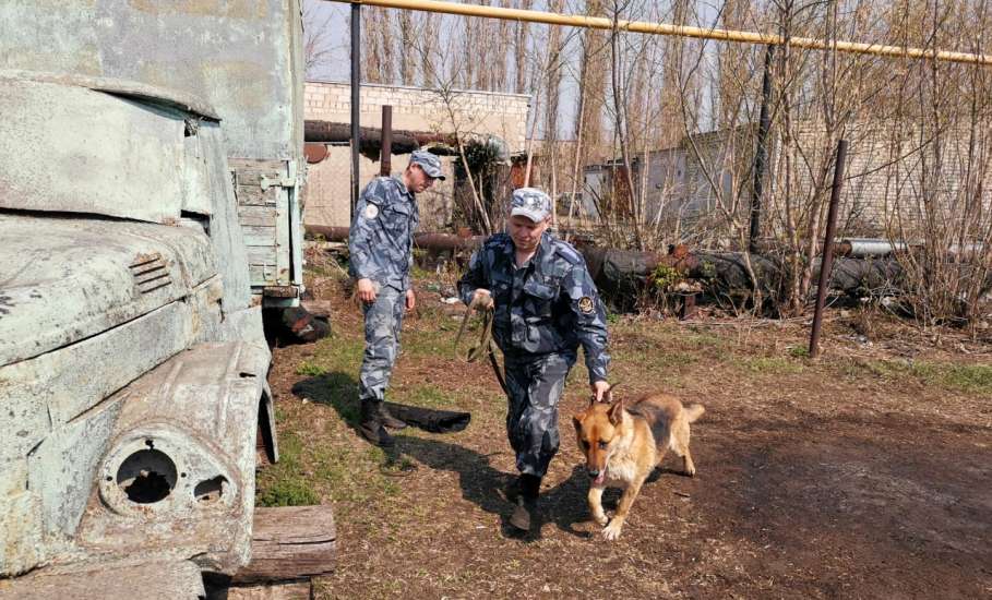 В исправительной колонии №4 для студентов Конь-Колодезского аграрного техникума организована экскурсия в питомник для собак