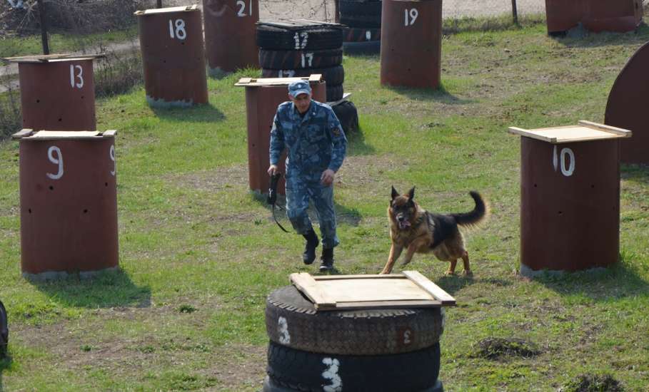 В исправительной колонии №4 для студентов Конь-Колодезского аграрного техникума организована экскурсия в питомник для собак