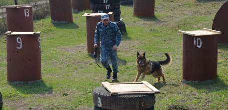 В исправительной колонии №4 для студентов Конь-Колодезского аграрного техникума организована экскурсия в питомник для собак