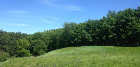 На территории Липецкой области с 24 апреля 2019 года ожидается высокая пожароопасность лесов