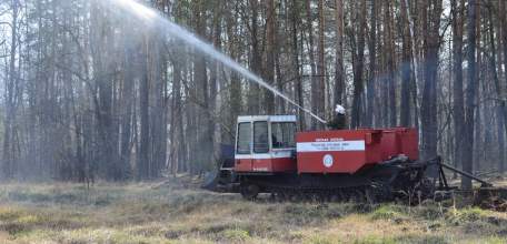 В Липецкой области введено ограничение на посещение лесов