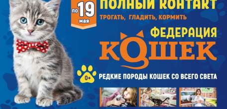 Встречайте! Впервые в г. Елец контактная выставка «Федерация кошек» из Санкт-Петербурга!