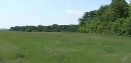 Прокуратура Елецкого района установила факт зарастания сельскохозяйственных угодий