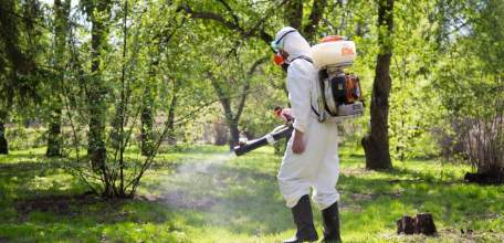 ВНИМАНИЕ! Обработка от клещей в парке 40-летия Октября!