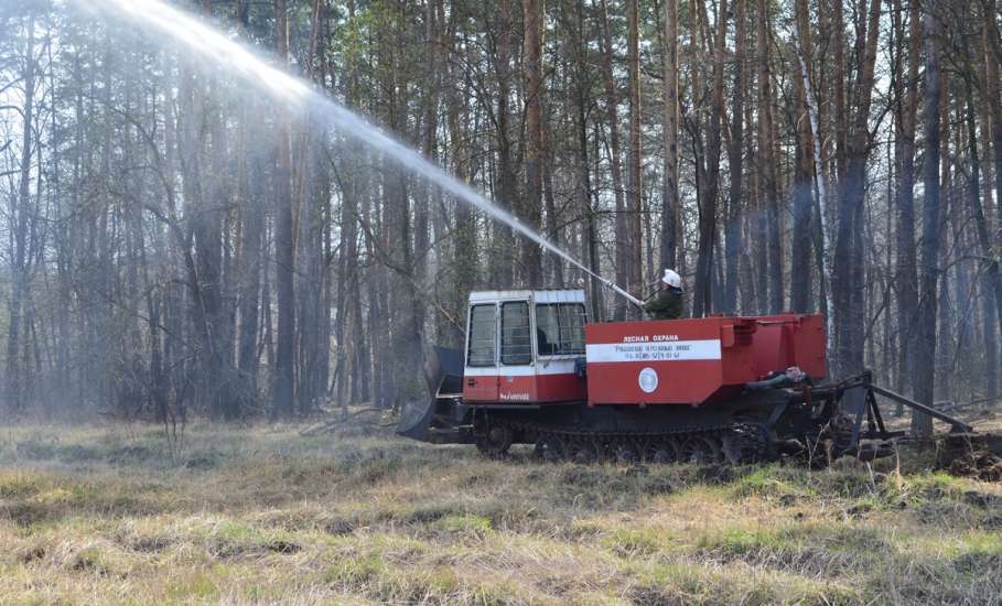 В Липецкой области установилась высокая пожарная опасность в лесах