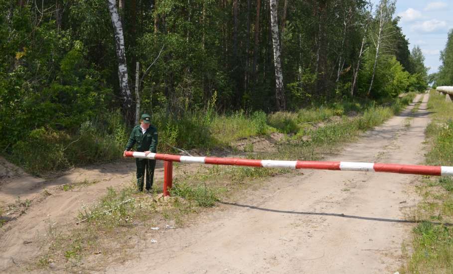 С 10 по 30 июня в Липецкой области введено ограничение на посещение лесов