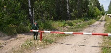 С 10 по 30 июня в Липецкой области введено ограничение на посещение лесов