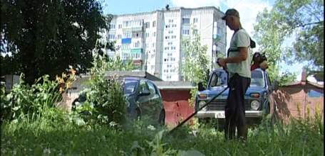 Откосить не получится: руководителей управляющих компаний накажут за нескошенную траву во дворах жилых домов