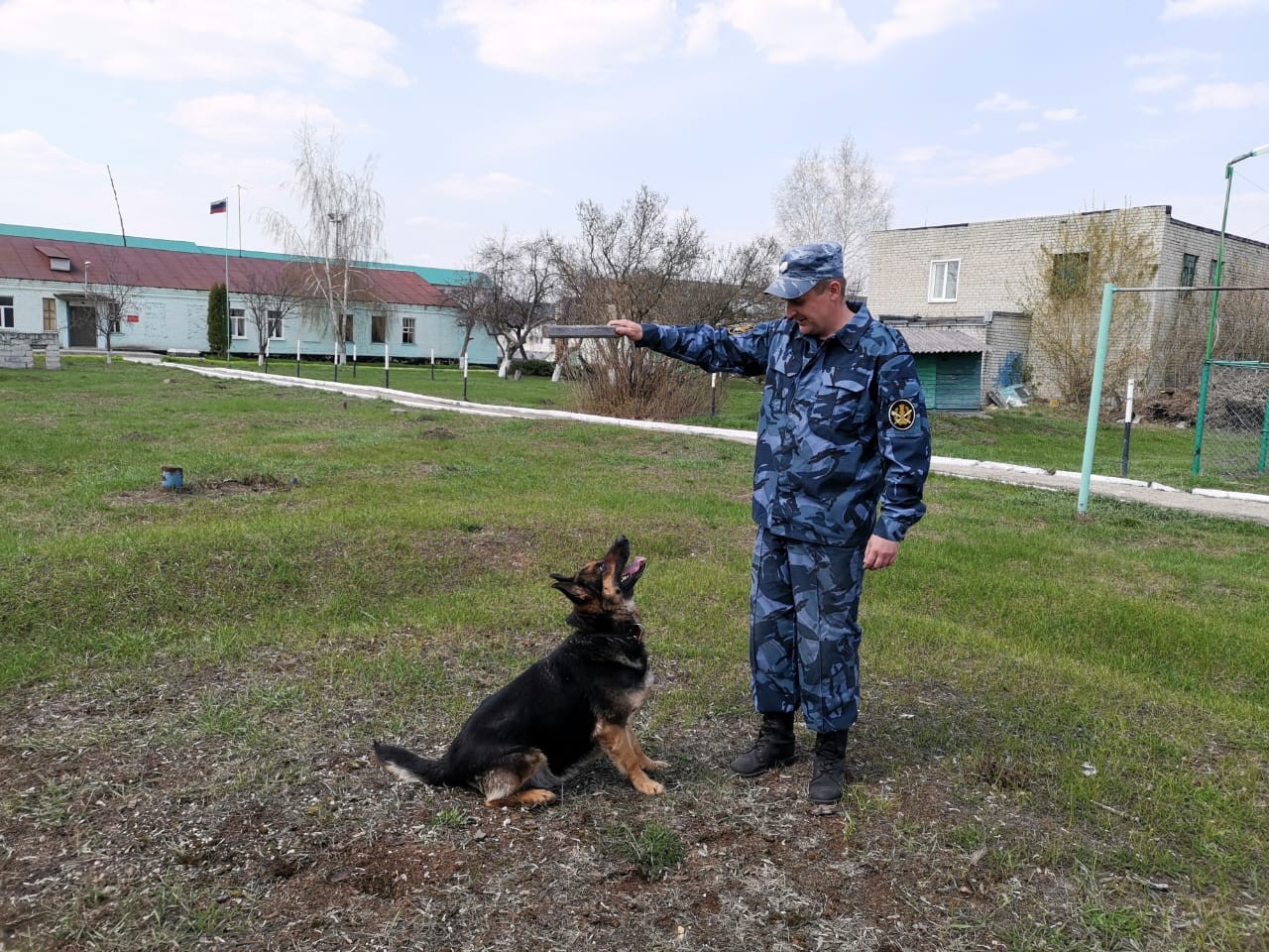 Фсин кинологи фото