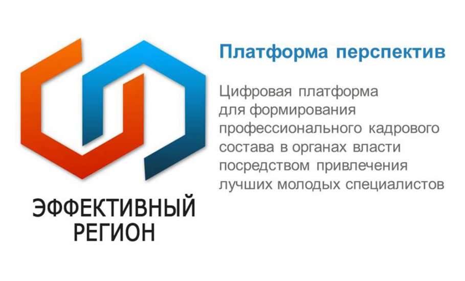 Цифровой проект «Платформа перспектив» появится в Липецкой области