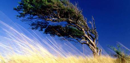 Внимание! Усиление ветра!