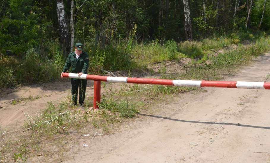 В Липецкой области введено ограничение на посещение лесов