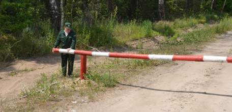 В Липецкой области введено ограничение на посещение лесов
