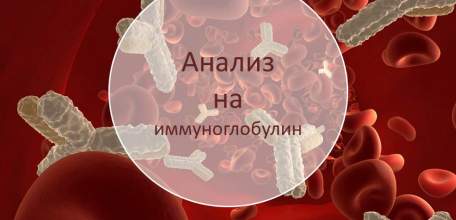 В Клинике доктора Шаталова Вы можете сдать анализы на различные классы иммуноглобулинов