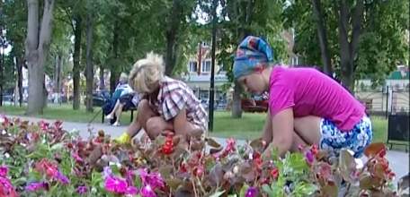 Сквер Харченко расцвёл на радость жителям города