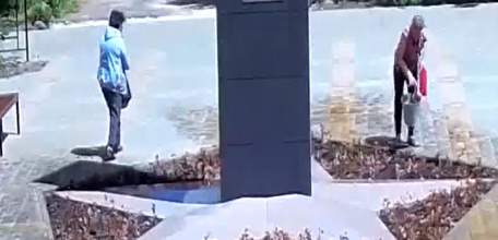 Две женщины совершили хищение недавно посаженных цветов в сквере Харченко