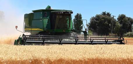 Более двух тысяч комбайнов убирают хлеб в Липецкой области