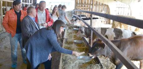 Липецкие фермеры получат гранты на развитие производства