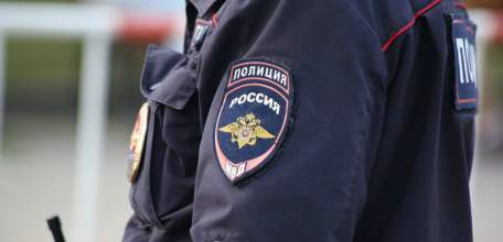 Полиция Елецкого района задержала подозреваемого в краже петуха