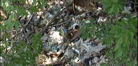 Очередной рейд административной комиссии: житель Ельца пожаловался на несанкционированную свалку рядом с его домом