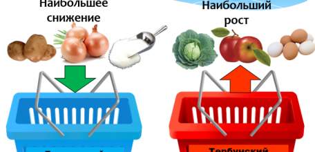О стоимости потребительской корзины в районах Липецкой области за июль 2019 года
