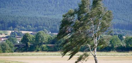 11 августа на территории Липецкой области ожидается усиление северо-западного ветра, порывы до 17 м/с