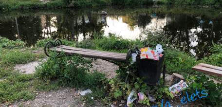 Будет ли сделано качественное благоустройство и уход за Петровским парком в Ельце?