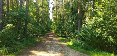 В Липецкой области введено ограничение на посещение лесов