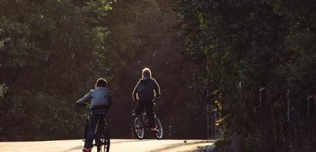 С 19 августа по 22 сентября в Ельце будет проводиться профилактическое мероприятие &laquo;Внимание - дети!&raquo;