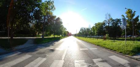 С 26 по 28 августа сотрудниками ОГИБДД города Ельца будет проводиться профилактическое мероприятие &laquo;Пешеходный переход&raquo;