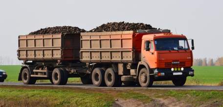 Липецкие свекловоды планируют собрать в этом году рекордные 5,5 млн тонн корнеплодов