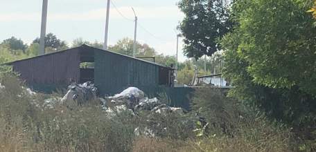 Живодёрня в селе Тульское, Тербунского района, под прикрытием названия «приют для животных» продолжает работать!