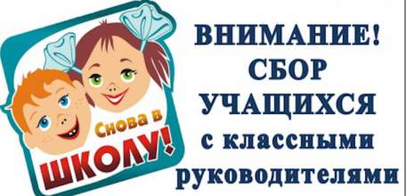 30 августа в елецких школах состоится сбор учащихся