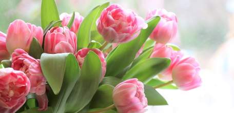 В Липецкой области 165 пенсионеров-долгожителей отметят юбилейную дату