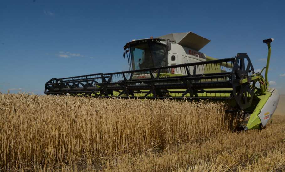 Сбор зерновых в Липецкой области завершён