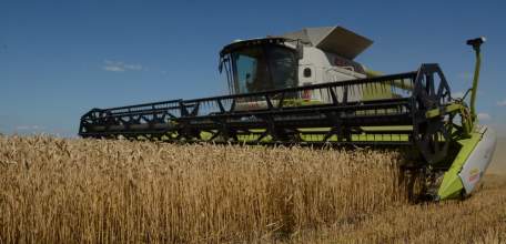 Сбор зерновых в Липецкой области завершён