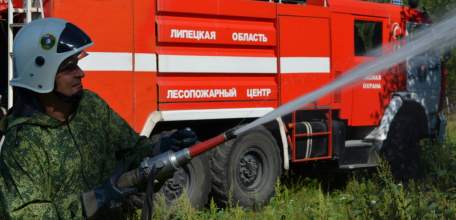 В лесах Липецкой области продлено ограничение на посещение лесов