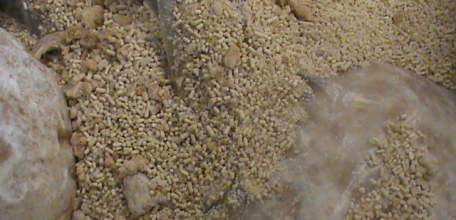 В исправительной колонии №3 предотвращена попытка передачи осуждённому запрещённых веществ