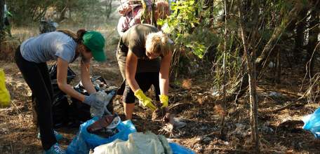 Всемирный день чистоты пройдёт в Липецкой области