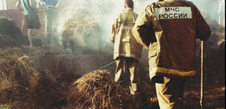 Пожар в конно-спортивном клубе &laquo;Кристалл&raquo;. Лошади остались без запасов на зиму