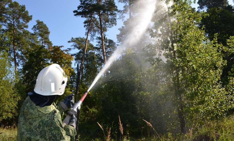В регионе установлена чрезвычайная пожарная опасность в лесах