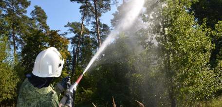 В регионе установлена чрезвычайная пожарная опасность в лесах