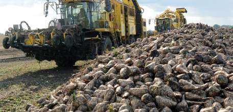 Первый миллион тонн сахарной свеклы собран в Липецкой области
