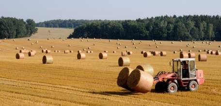 Грант «Агростартап» получат 34 липецких фермера